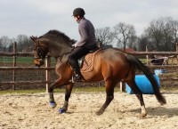 Afbeelding invoegen